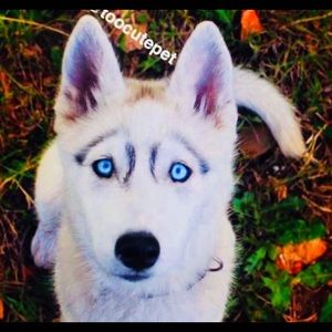 Meet your Posher, Paula